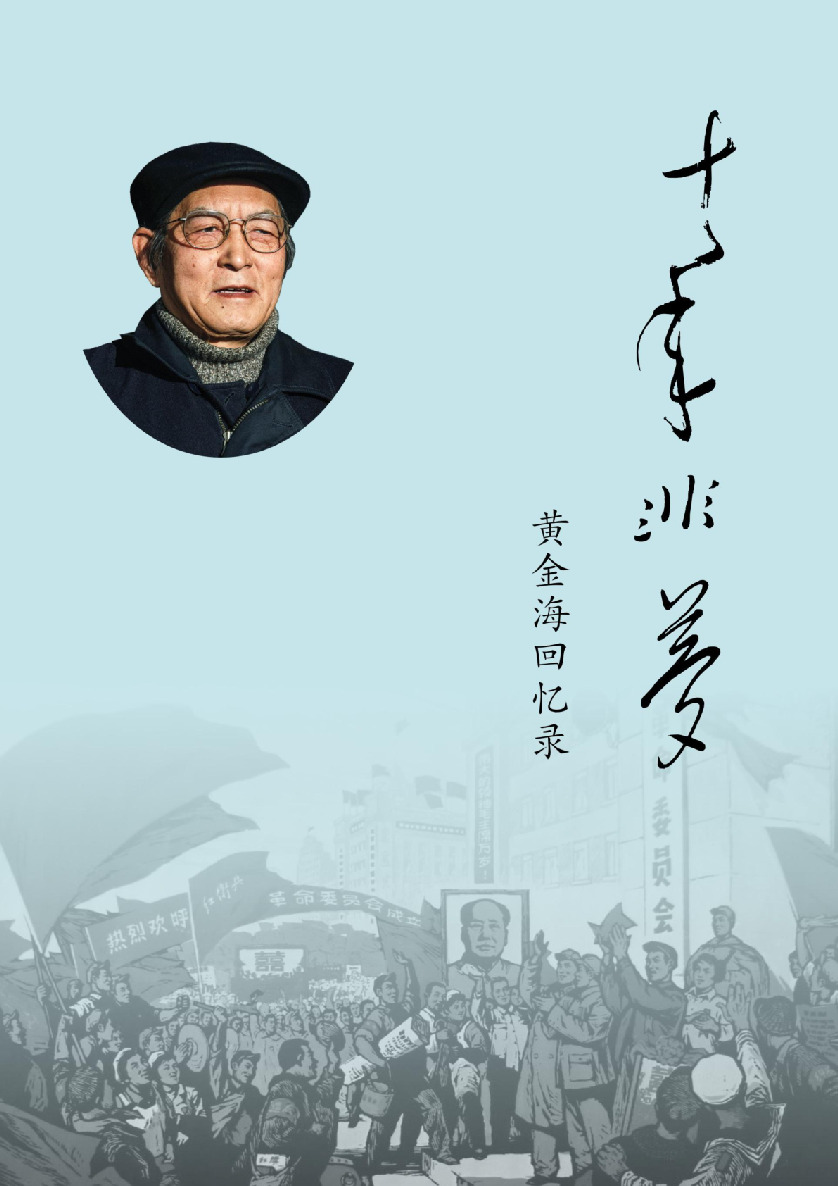 十年非梦——黄金海回忆录